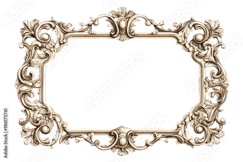 Elegant ornate vintage frame with intricate floral designs, perfect for displaying cherished memories.