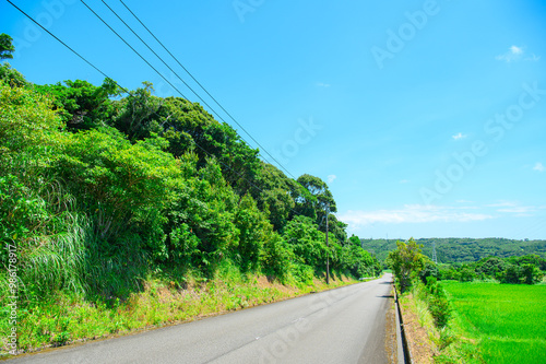 鹿児島 種子島の風景 photo