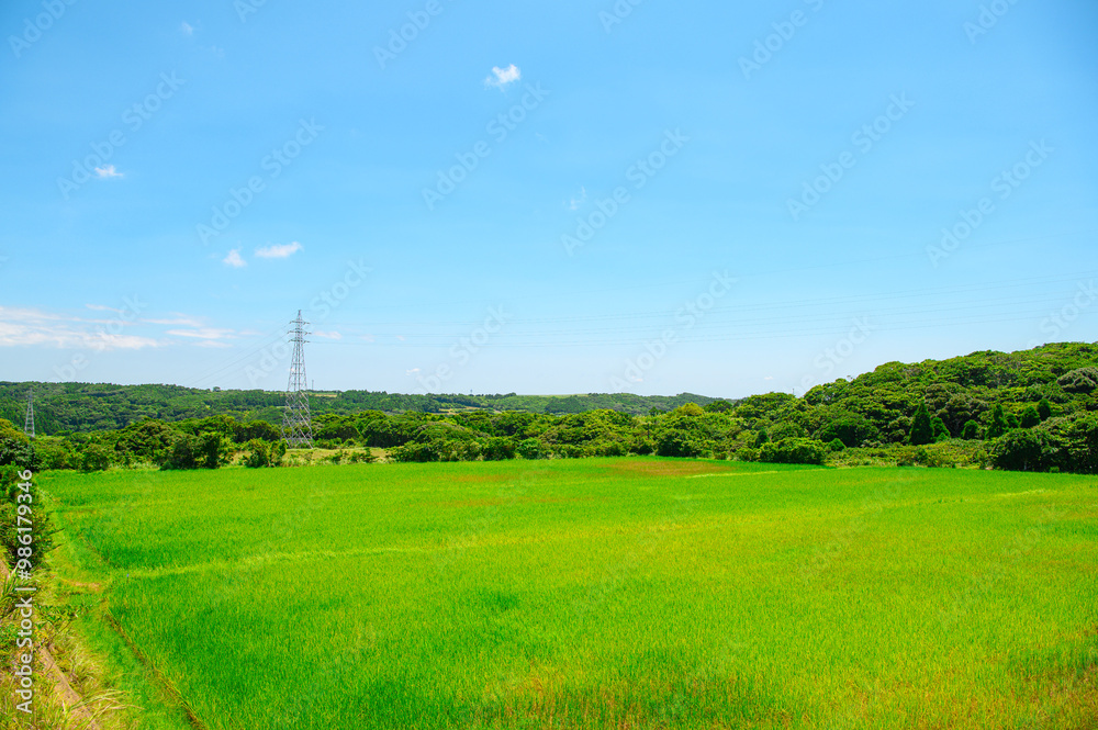 鹿児島 種子島の風景