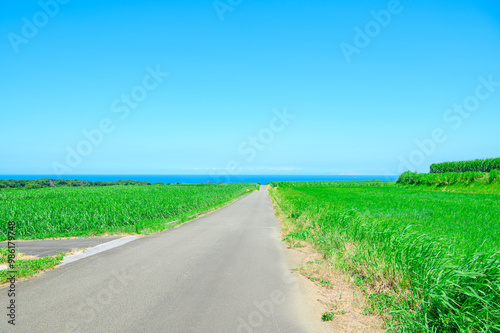 鹿児島 種子島の風景 photo