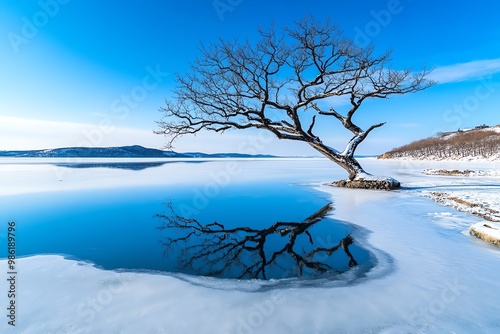 A barren tree standing by the edge of a frozen lake, with reflections of its empty branches in the ice