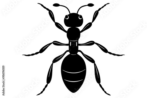 ant  black icon silhouette, ant illustration, ant animal