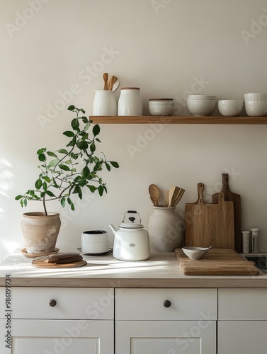 Cozy and Minimalist Kitchen Shelving with Potted Plant and Ceramic Tableware