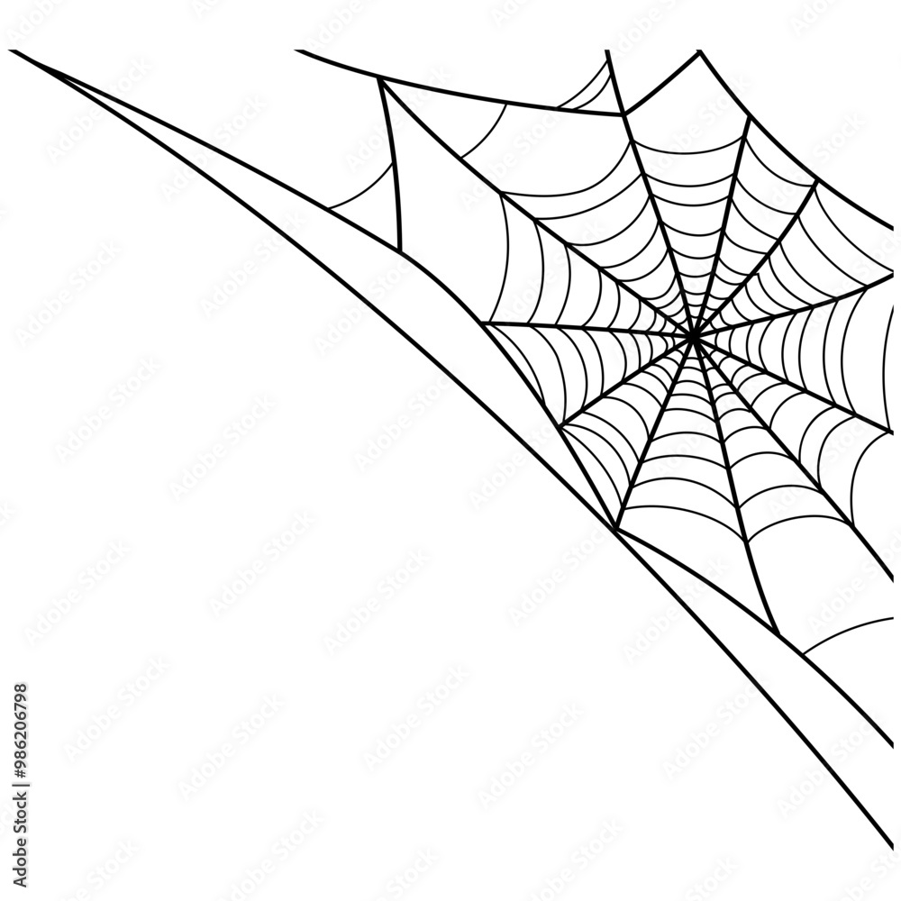 spider web at the corner illustration