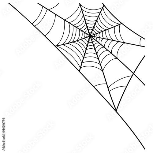 spider web at the corner illustration