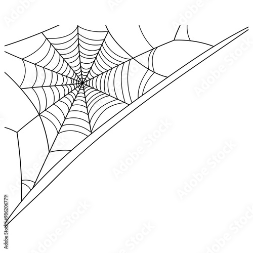 spider web at the corner illustration