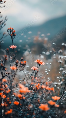 Close Up of Orange Flowers In a Field