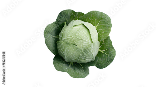 Fresh green cabbage isolated on transparent background photo