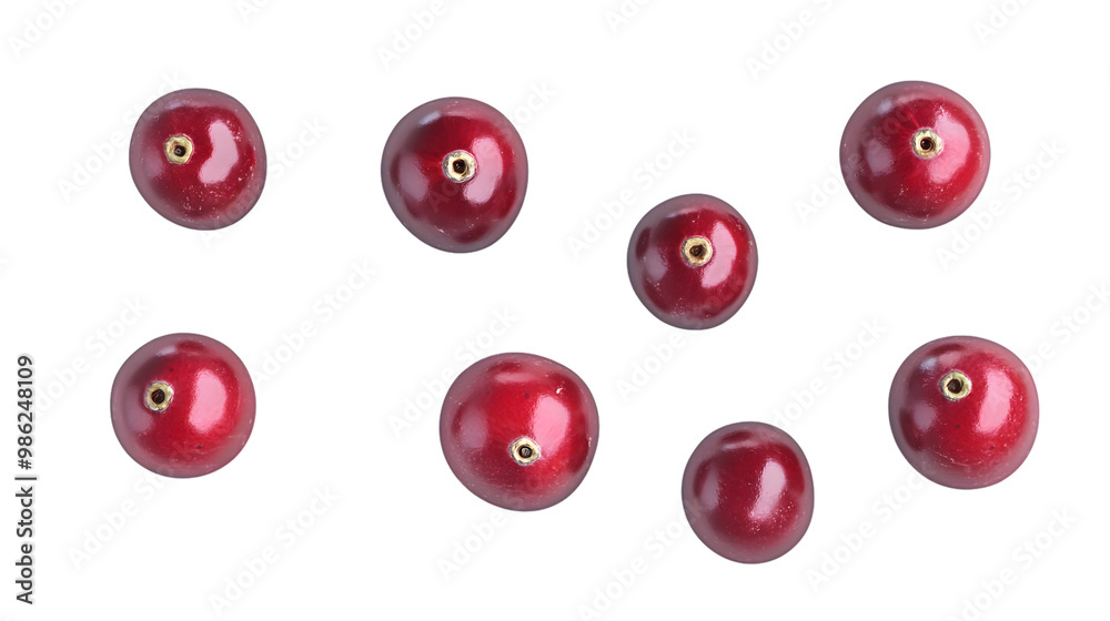 Floating fresh cranberries on simple transparent background Floating fresh cranberries on simple transparent background