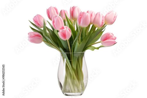 A bouquet of pink tulips arranged in a vase with soft lighting highlighting their natural beauty isolated on white background