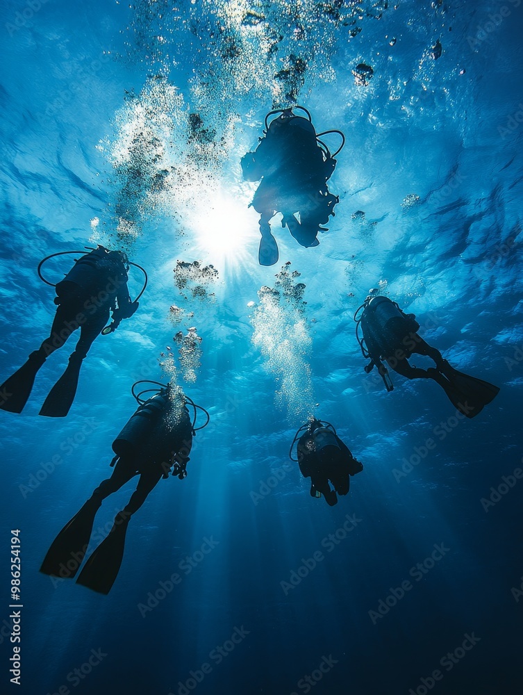 custom made wallpaper toronto digitalGroup of divers exploring underwater in vibrant blue ocean during daytime with sunlight filtering through the water