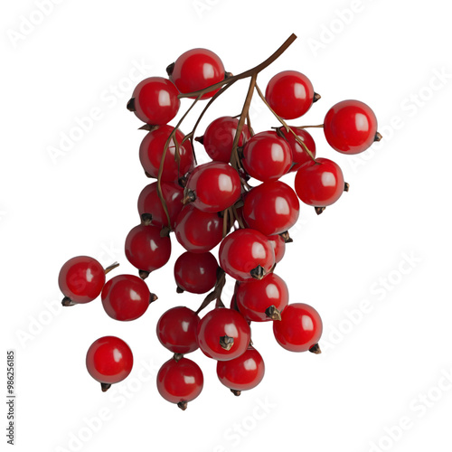 Ripe red currants cluster on transparent background with glossy texture