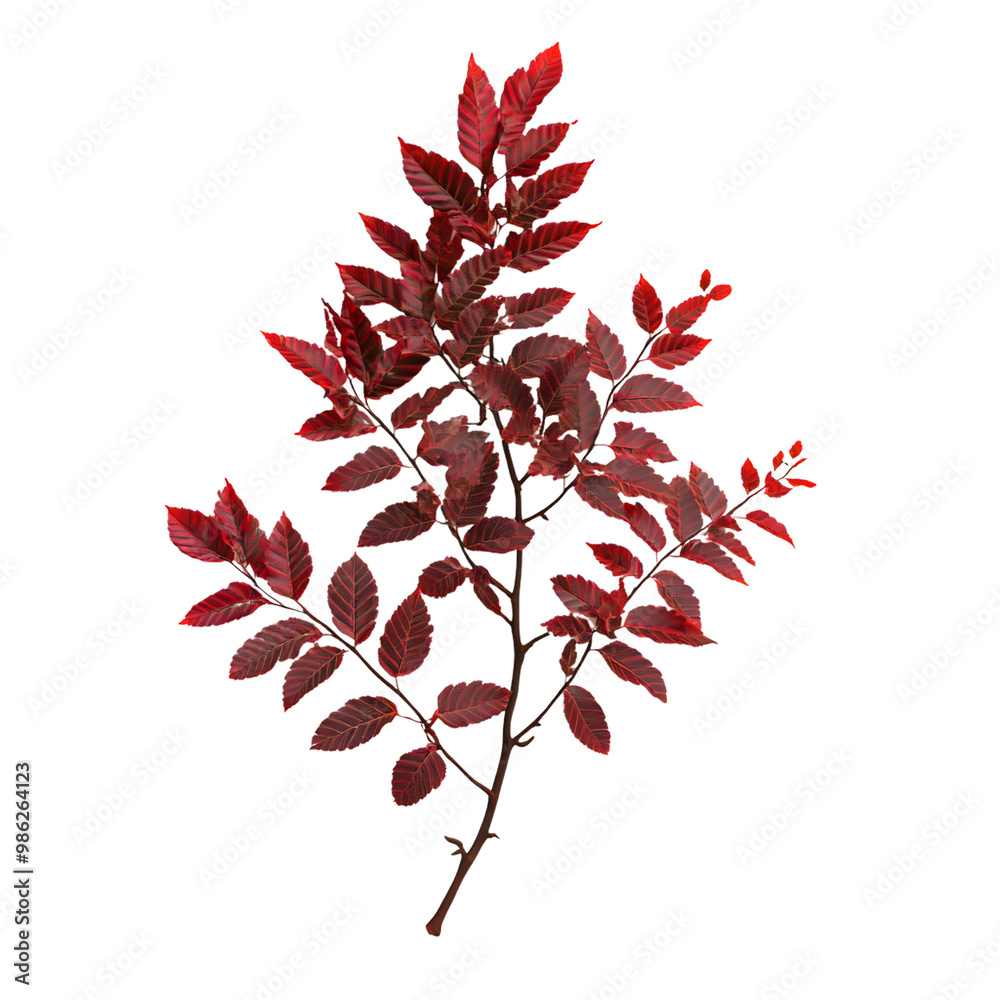 Fototapeta premium Vibrant red leafy branch against transparent background