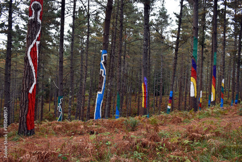 The Painted Forest of Oma in Urdaibai. photo