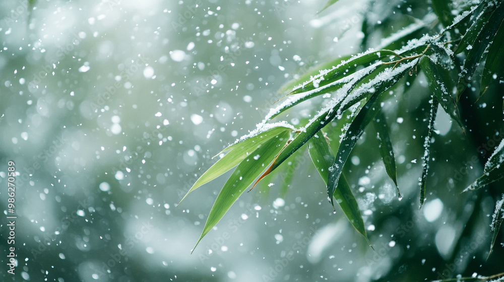 Close-up of snow falling on green bamboo leaves,
Close-up of snow falling on green bamboo leaves,