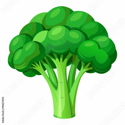 Vegetable broccoli fresh illustration healthy food 