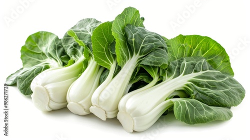 Bok choy, Chinese cabbage on white background