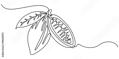 Single continuous line drawing of whole healthy organic cocoa bean for plantation logo identity. Fresh cacao concept for chocolate shop icon, Pro Vector