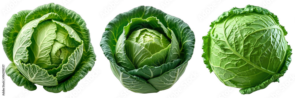 Close-Up Cabbage Trio, A set of three vibrant close-up photographs showcasing a head of cabbage from various angles. Close-Up Cabbage Trio, A set of three vibrant close-up photographs showcasing a head of cabbage from various angles.