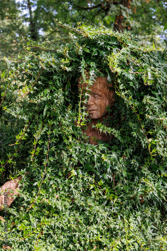 Obraz premium A carved wooden figure is almost completely overgrown with ivy