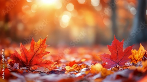 Bright red and orange autumn leaves scattered on the forest floor during gold...