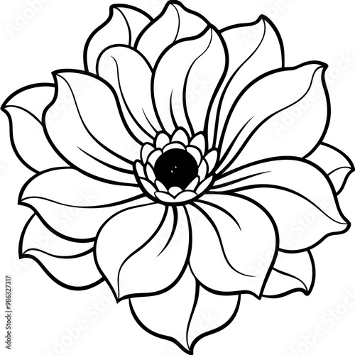 Line art of a anemone flower. Vector illustration 
