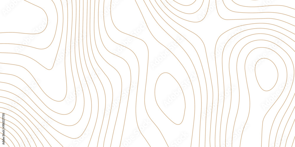 Fototapeta premium Abstract wave paper curved reliefs background .gradient multicolor wave curve lines banner background design .topographic contours map background .Vector geographic contour map. 