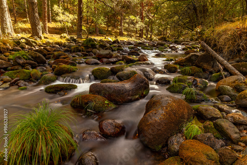 arroyo angostura sierra de Guadarrama photo