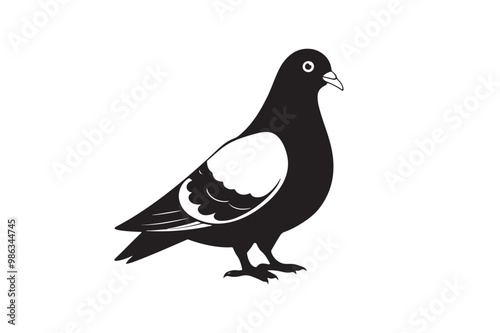 Rock Pigeon silhouette vector illustration, Rock Pigeon silhouette vector, Rock Pigeon PNG. photo