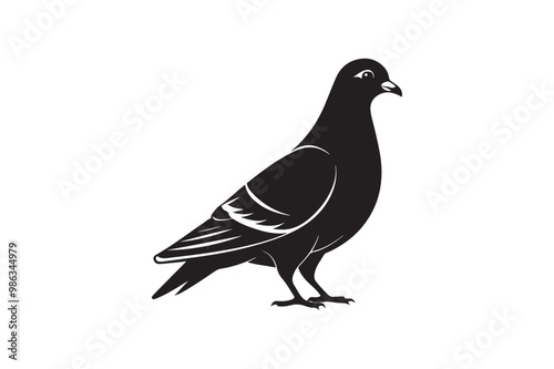 Rock Pigeon silhouette vector illustration, Rock Pigeon silhouette vector, Rock Pigeon PNG.