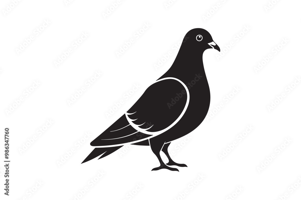 Rock Pigeon silhouette vector illustration, Rock Pigeon silhouette vector, Rock Pigeon PNG. Rock Pigeon silhouette vector illustration, Rock Pigeon silhouette vector, Rock Pigeon PNG.