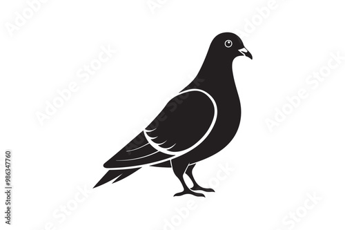 Rock Pigeon silhouette vector illustration, Rock Pigeon silhouette vector, Rock Pigeon PNG.