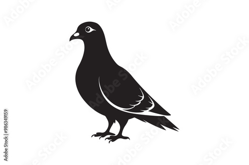 Rock Pigeon silhouette vector illustration, Rock Pigeon silhouette vector, Rock Pigeon PNG.