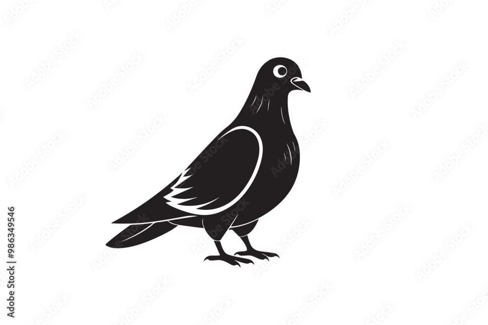 Rock Pigeon silhouette vector illustration, Rock Pigeon silhouette vector, Rock Pigeon PNG. Rock Pigeon silhouette vector illustration, Rock Pigeon silhouette vector, Rock Pigeon PNG.