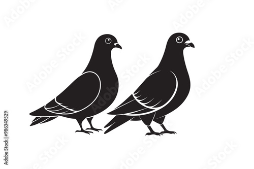 Rock Pigeon silhouette vector illustration, Rock Pigeon silhouette vector, Rock Pigeon PNG. photo