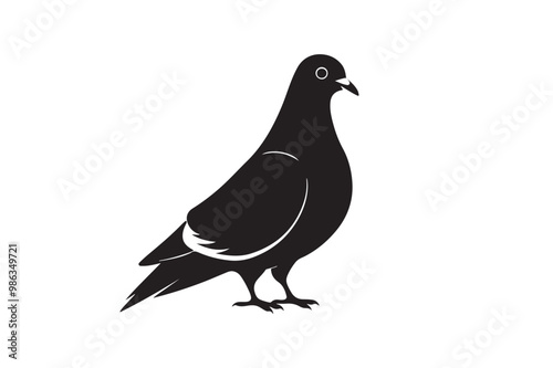 Rock Pigeon silhouette vector illustration, Rock Pigeon silhouette vector, Rock Pigeon PNG.