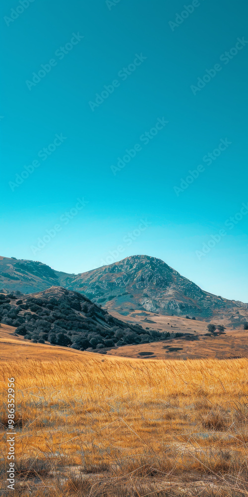 Obraz premium A serene pastoral landscape featuring rolling hills and clear turquoise sky. golden grass sways gently in breeze, creating peaceful and tranquil atmosphere