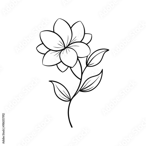 a simple flower , outline vector, on a white background, 