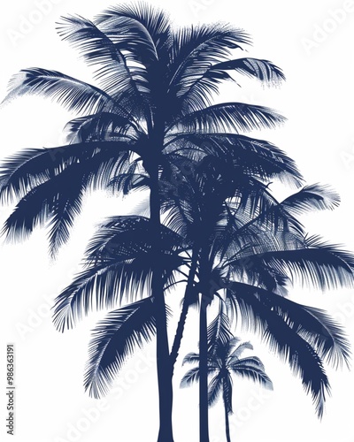 Illustration palm tree silhouette picture