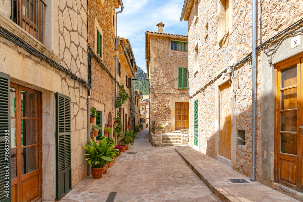 Fototapeta premium Gasse voller Pflanzen in Töpfen an den Hauswänden Valldemossa auf der spanischen Baleareninsel Mallorca 