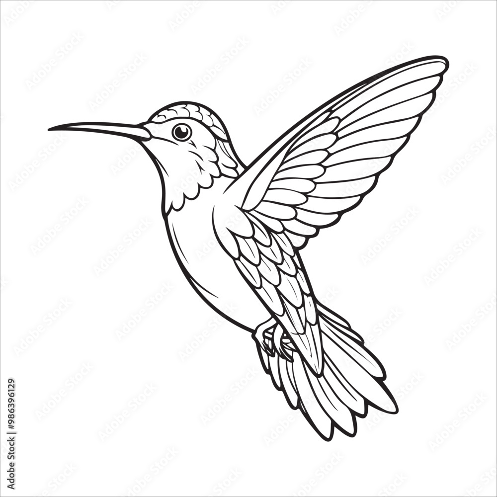 Fototapeta premium Humming bird Vector Art Illustration
