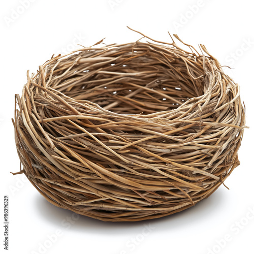 Empty Nest Isolated