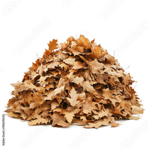 Fall Leaves Pile Isolated