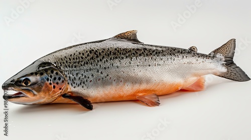 Close-up of a whole salmon fish with detailed scales and fins, showcasing freshness and quality for seafood preparation. 