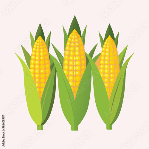 orn hand drawn vector illustration set. Isolated Vegetable engraved style object