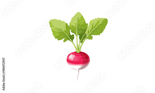 radish