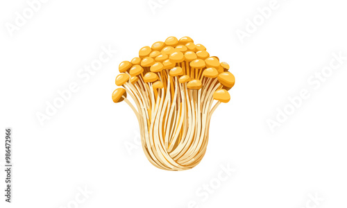 Enoki mushroom