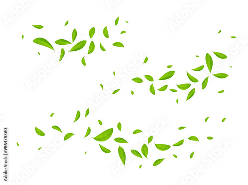 Green tea vector background mint eco illustration. Organic green tea flying leaf fresh concept