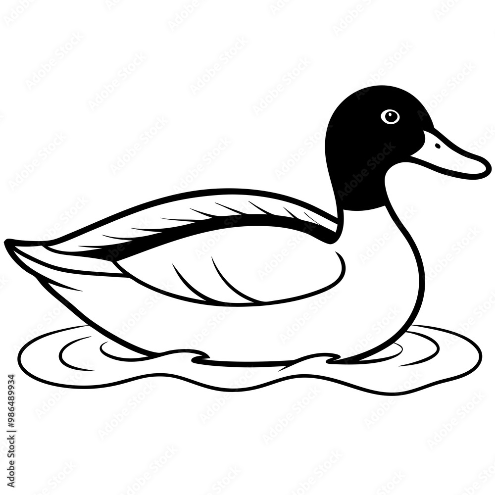 Sleek Mallard Duck Gliding on Pond Sleek Mallard Duck Gliding on Pond