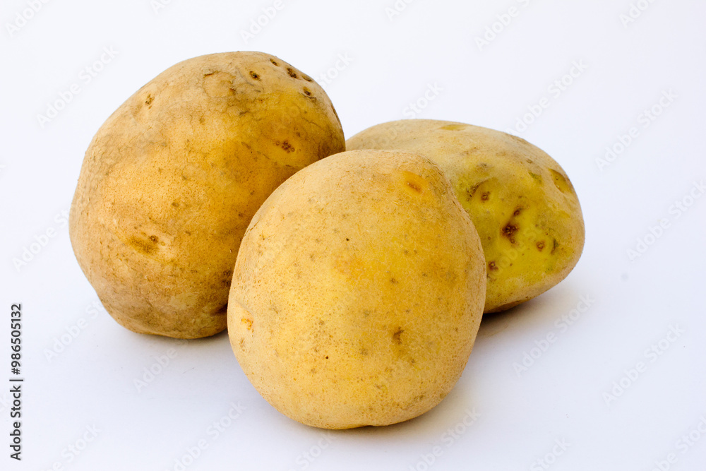 A potato (Solanum tuberosum) is a widely cultivated root vegetable native to the Andes Mountains in South America. A potato (Solanum tuberosum) is a widely cultivated root vegetable native to the Andes Mountains in South America.